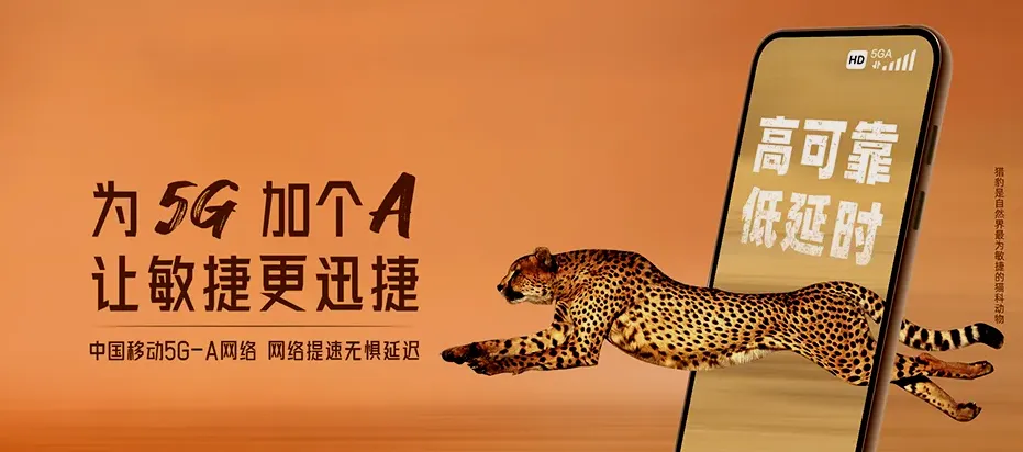 德江德江县共和镇 移动宽带